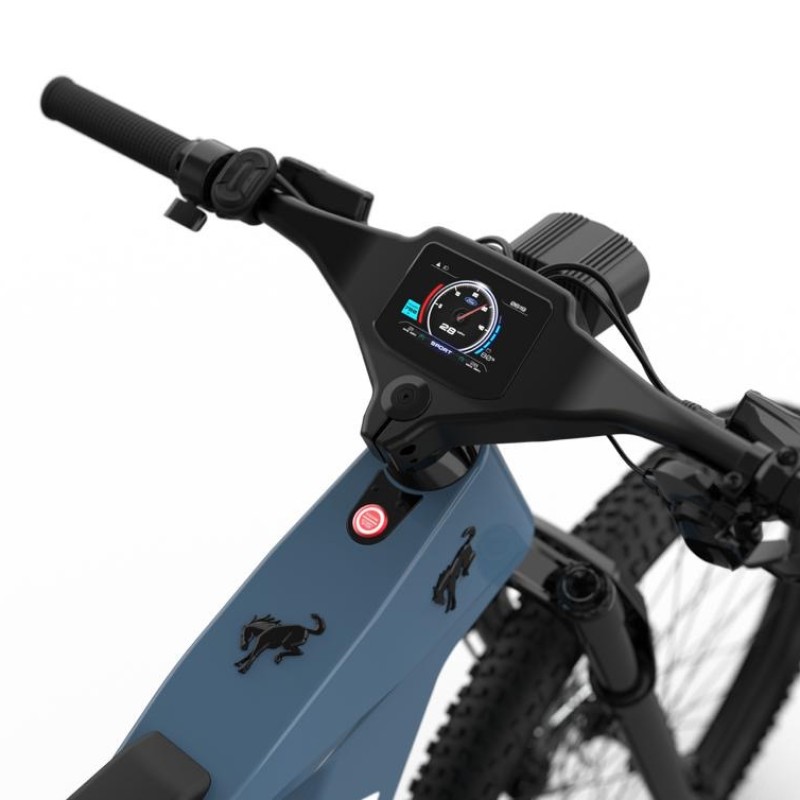 Bronco eBike