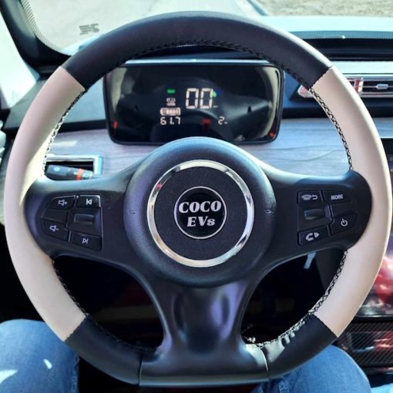 Electric 4 Door Coco Trooper 60v Electric Golf Cart LSV With Rear Trunk Hatch